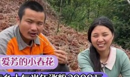 爆料小春花和牛爱芳视频,真相揭秘